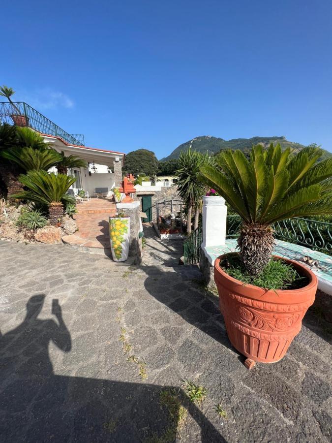 Blu Panorama Bed and Breakfast Forio di Ischia Exterior foto